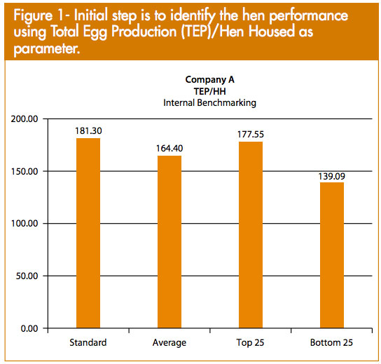 benchmarking-figure-1