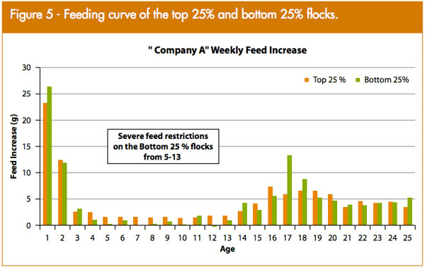 benchmarking-figure-5