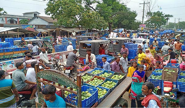 আমচাষী-নওগা