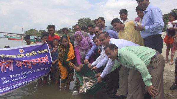 পোনা মাছ অবমুক্তকরণ