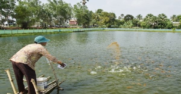 1-fish-farming-1-08052017064055-20200131110643