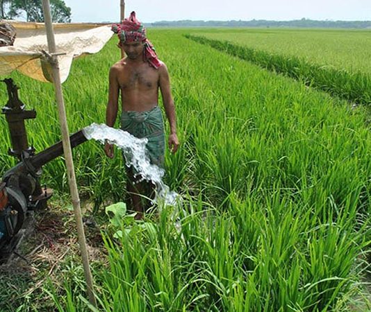 ক ষ ব ষয ক Farmsandfarmer24 Com Page 201